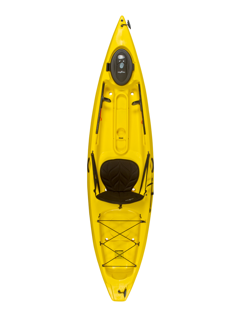 Yam Fortune 350
