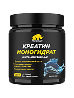 Креатин моногидрат микронизированный